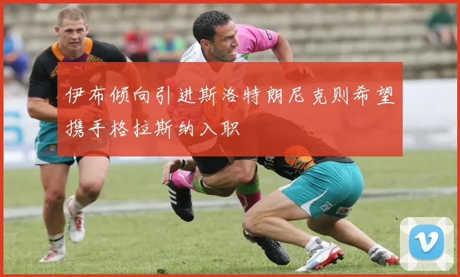 伊布倾向引进斯洛特朗尼克则希望携手格拉斯纳入职